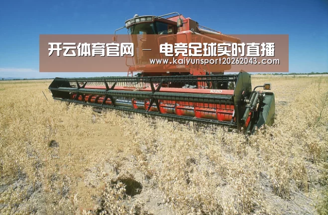 产品名称三(图1)