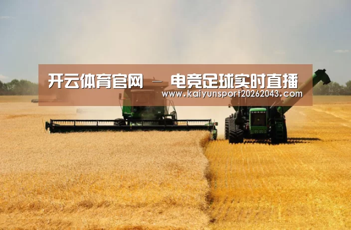 产品名称八(图1)