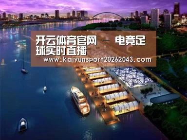 案例展示八