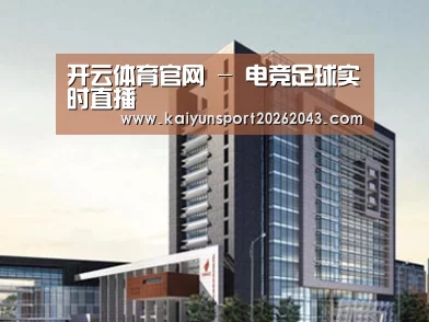 案例展示七