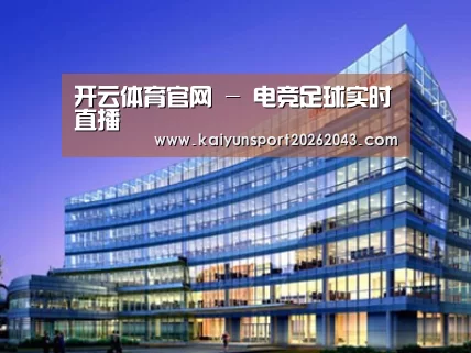案例展示五