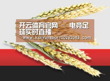 开云体育官网 - 电竞足球实时直播