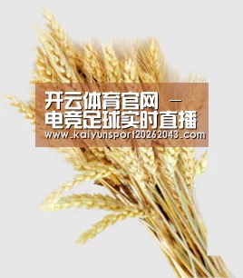 开云体育官网 - 电竞足球实时直播