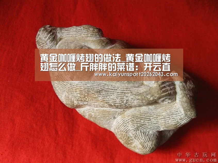 黄金咖喱烤翅的做法_黄金咖喱烤翅怎么做_斤胖胖的菜谱:开云直播(图2) 开云足球