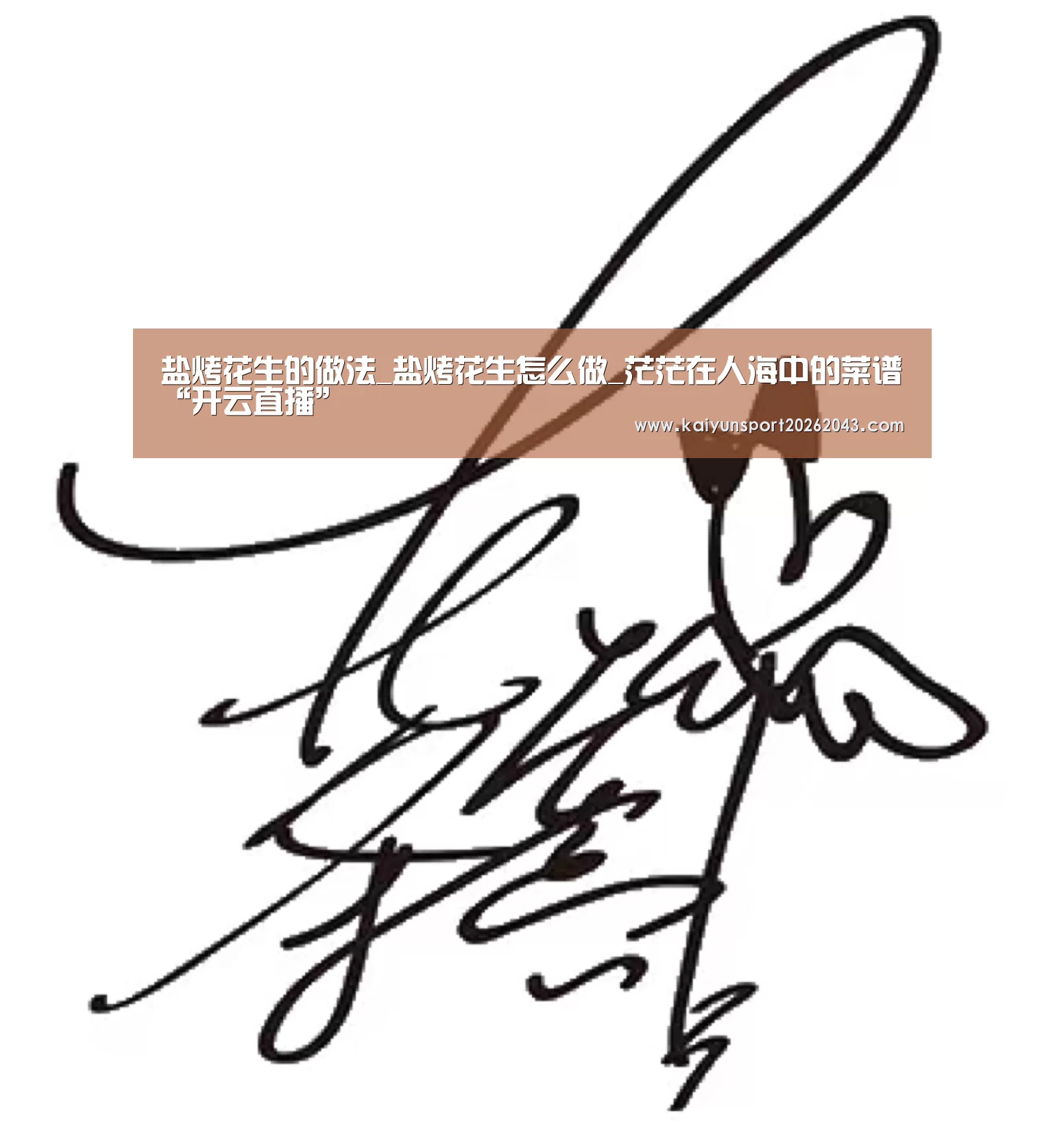 盐烤花生的做法_盐烤花生怎么做_茫茫在人海中的菜谱“开云直播”(图4) 开云直播