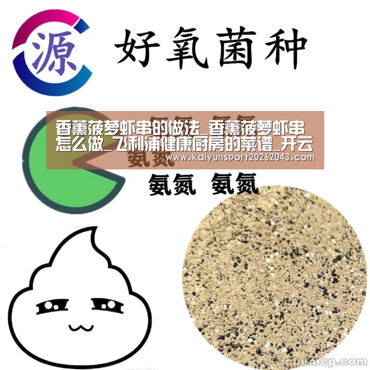 开云电竞